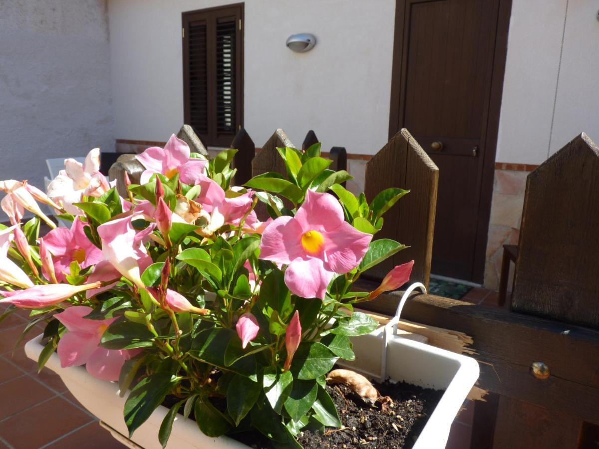 Villa Rosa Luxury Apartment Mondello Exterior photo